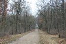 Forêt de Lardy